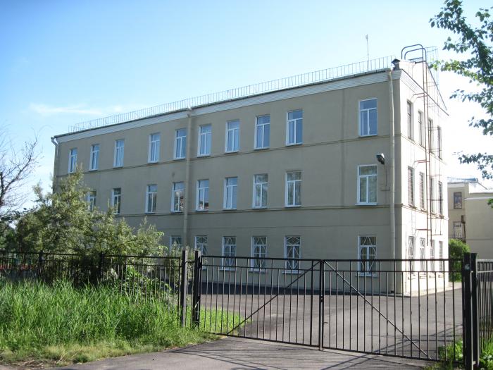 Общеобразовательные учреждения невского района. Школа 400 Понтонный.